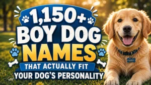 1,150+ Boy Dog Names That Actually Fit Your Dog’s Personality