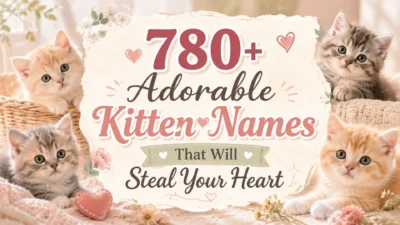 780+ Adorable Kitten Names That Will Steal Your Heart