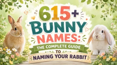 615+ Bunny Names The Complete Guide to Naming Your Rabbit